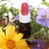 Světový den homeopatie