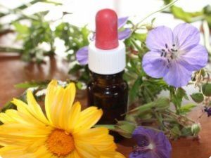 Světový den homeopatie