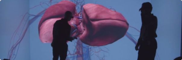 Celosvětový projekt Living Heart vyvíjí simulaci lidského srdce