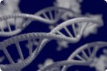 Mezinárodní den DNA – Co všechno o nás dnes prozradí genetika? 