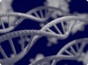 Mezinárodní den DNA – Co všechno o nás dnes prozradí genetika? 